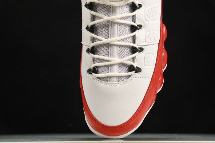 Air Jordan 9 302370-160