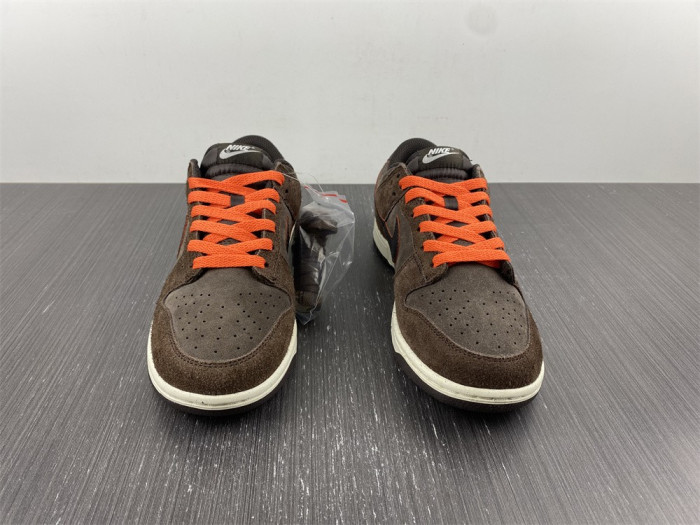Nike Dunk Low Retro  DQ8801-200