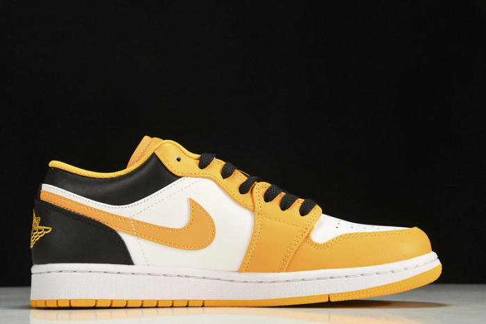 Nike SB Low 553558-701