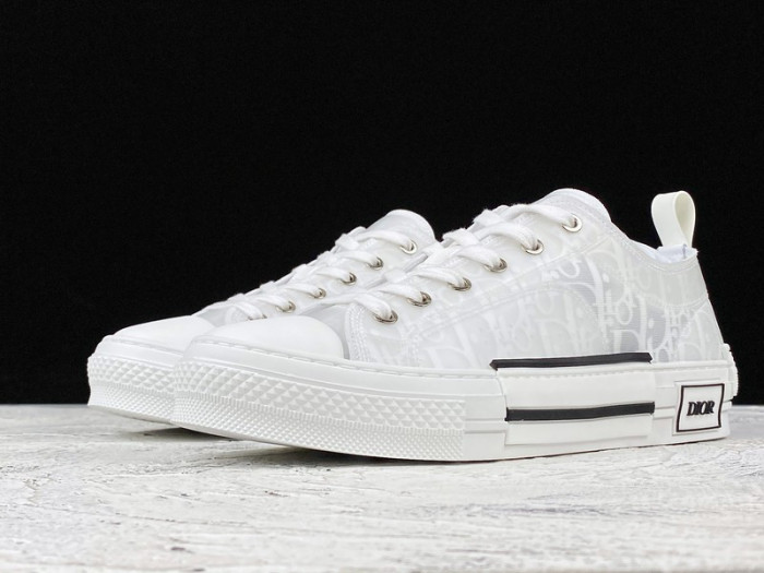 D10R B23  Homme Kaws Low Top Sneaker